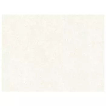 обои АСПЕКТ Deluxe виниловые на флизелиновой основе 10,05х1,06м, арт.70538-12