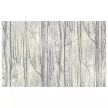 обои АСПЕКТ Deluxe виниловые на флизелиновой основе 10,05х1,06м, арт.70392-44