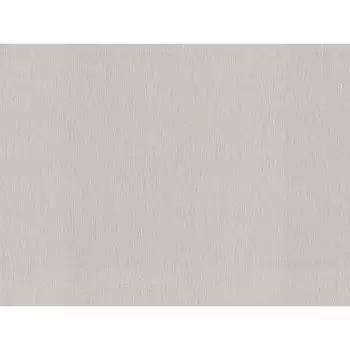 обои АСПЕКТ Deluxe виниловые на флизелиновой основе 10,05х1,06м, арт.72305-28