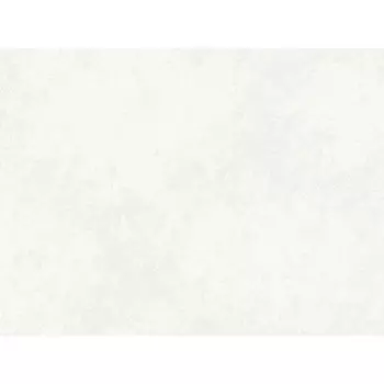 обои АСПЕКТ Deluxe виниловые на флизелиновой основе 10,05х1,06м, арт.70609-76