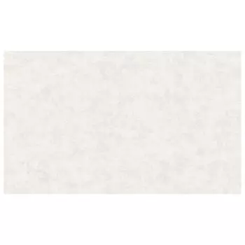 обои ATELIERO виниловые на флизелиновой основе 10,05х1,06м, арт.989981