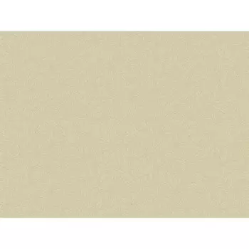 обои бумажные дуплекс 10,05х0,53м, арт.С6 д1021-02