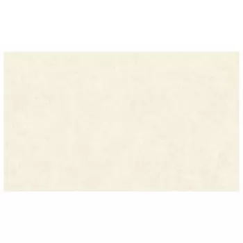 обои DOMINGO виниловые на флизелиновой основе 10,05х1,06м, арт.10742-02