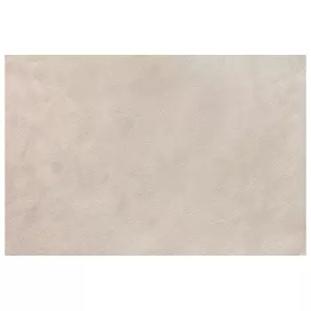 обои ELYSIUM виниловые на флизелиновой основе 10,05х1,06м, арт.Е24332