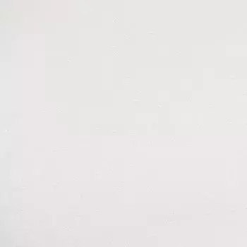 обои ELYSIUM виниловые на флизелиновой основе 10,05х1,06м, арт.Е203900