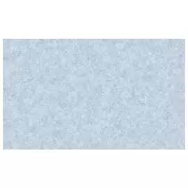 обои ERISMANN виниловые на флизелиновой основе 10,05х1,06м, арт.60052-08