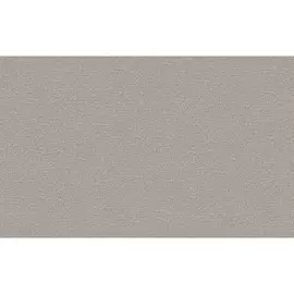 обои ERISMANN виниловые на флизелиновой основе 10,05х1,06м, арт.60095-08