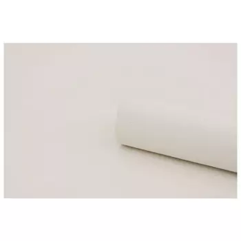 обои ERISMANN виниловые на флизелиновой основе 10,05х1,06м, арт.60164-09