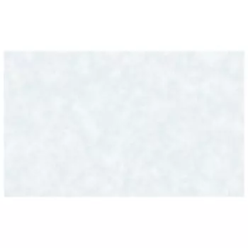 обои ERISMANN виниловые на флизелиновой основе 10,05х1,06м, арт.60613-05