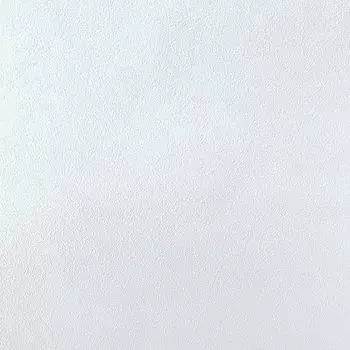 обои ERISMANN виниловые на флизелиновой основе 10,05х1,06м, арт.4593-06