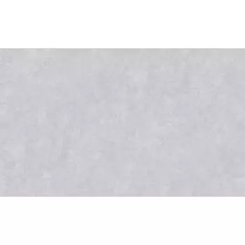 обои ERISMANN виниловые на флизелиновой основе 10,05х1,06м, арт.60933-04