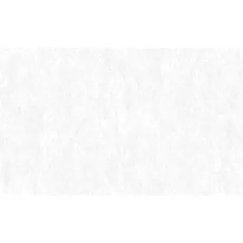 обои ERISMANN виниловые на флизелиновой основе 10,05х1,06м, арт.60929-02