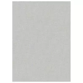 обои ERISMANN вспененный винил на флизелиновой основе 10,05х0,53м, арт.5414-31