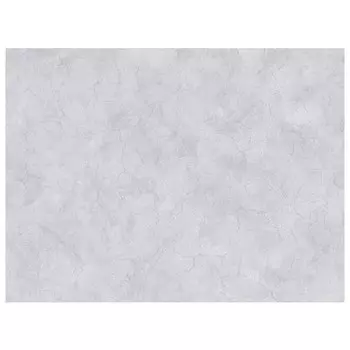 обои EURODECOR виниловые на флизелиновой основе 10,05х1,06м, арт.7160-24