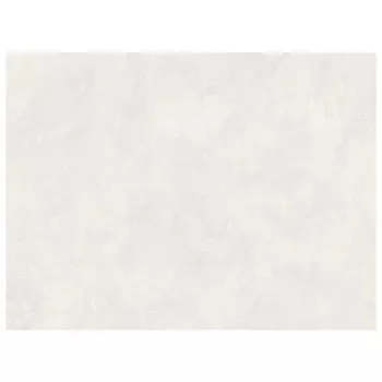 обои EURODECOR виниловые на флизелиновой основе 10,05х1,06м, арт.7217-00