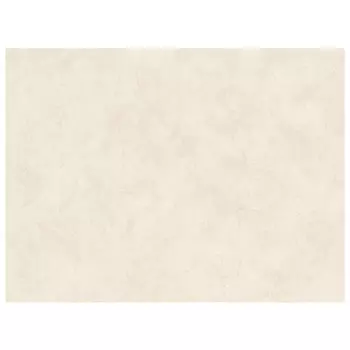 обои EURODECOR виниловые на флизелиновой основе 10,05х1,06м, арт.7160-01