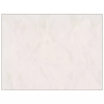 обои EURODECOR виниловые на флизелиновой основе 10,05х1,06м, арт.7150-08