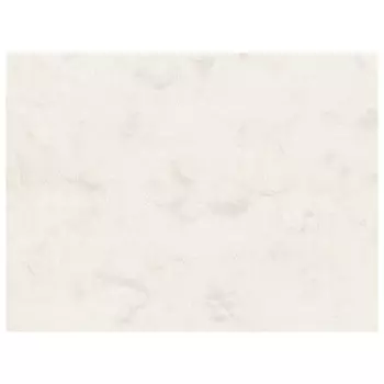 обои EURODECOR виниловые на флизелиновой основе 10,05х1,06м, арт.7162-01