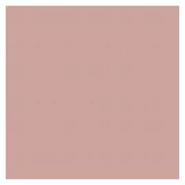 обои HOME COLOR виниловые на флизелиновой основе 10,05х1,06м, арт.HC71100-25