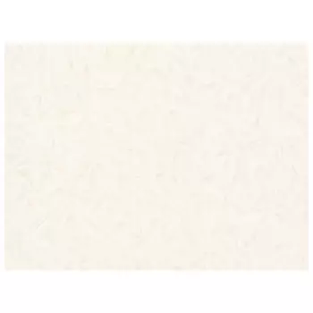 обои MONTE SOLARO виниловые на флизелиновой основе 10,05х1,06м, арт.9135-00