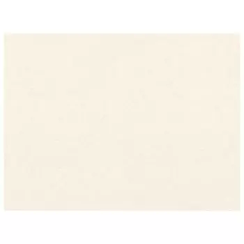 обои MONTE SOLARO виниловые на флизелиновой основе 10,05х1,06м, арт.9256-01