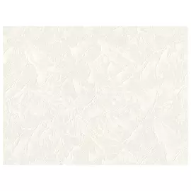 обои ORNAMY виниловые на флизелиновой основе 10,05х1,06м, арт.8010-01