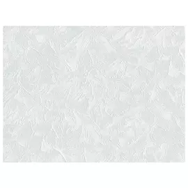 обои ORNAMY виниловые на флизелиновой основе 10,05х1,06м, арт.8010-03