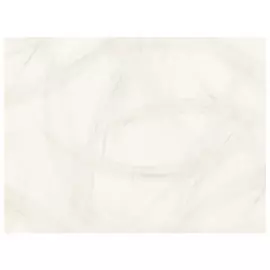 обои ORNAMY виниловые на флизелиновой основе 10,05х1,06м, арт.8032-00