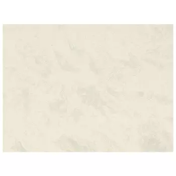 обои ORNAMY виниловые на флизелиновой основе 10,05х1,06м, арт.8064-01