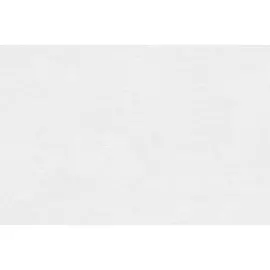 обои OSTIMA виниловые на флизелиновой основе 10,05х1,06м, арт.88265