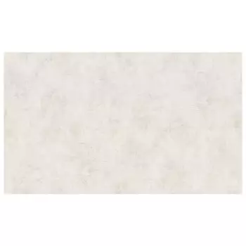 обои OVK виниловые на флизелиновой основе 10,05х1,06м, арт. 10709-02