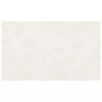 обои OVK виниловые на флизелиновой основе 10,05х1,06м, арт. 10850-03