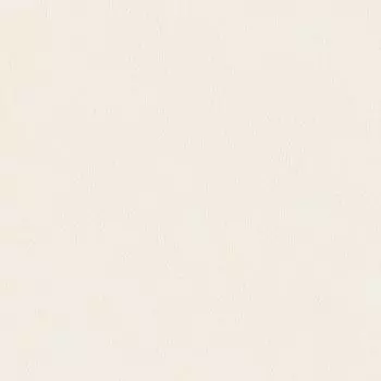 обои Palitra Family Ambris FM71934-21, 10,05х1,06 м, бежевые