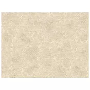 обои ПАЛИТРА виниловые на флизелиновой основе 10,05х1,06м, арт.PL72104-12