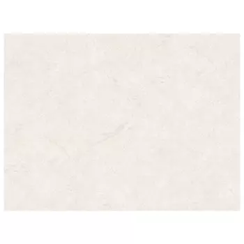 обои ПАЛИТРА виниловые на флизелиновой основе 10,05х1,06м, арт.PL72156-12