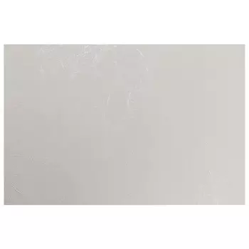 обои ПАЛИТРА виниловые на флизелиновой основе 10,05х1,06м, арт.PL71892-24