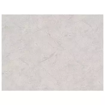 обои ПАЛИТРА виниловые на флизелиновой основе 10,05х1,06м, арт.PL72156-28