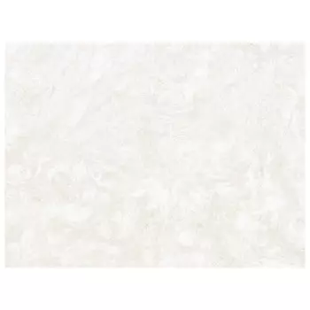 обои ПАЛИТРА виниловые на флизелиновой основе 10,05х1,06м, арт.PL72072-12