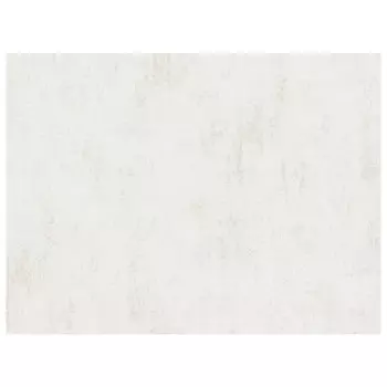 обои ПАЛИТРА виниловые на флизелиновой основе 10,05х1,06м, арт.PL72355-11