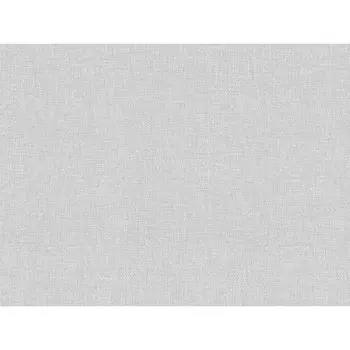 обои PRESTIGE COLOR виниловые на флизелиновой основе 10,05х1,06м, арт.PC72479-21