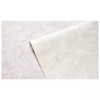 обои RENOWA виниловые на флизелиновой основе 10,05х1,06м, арт.286732