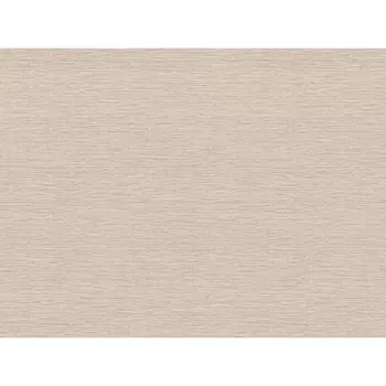 обои TREND COLOR виниловые на флизелиновой основе 10,05х1,06м, арт.TC72457-22