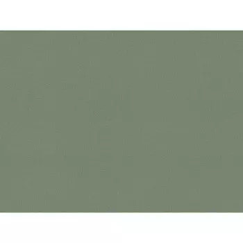 обои TREND COLOR виниловые на флизелиновой основе 10,05х1,06м, арт.TC72460-77