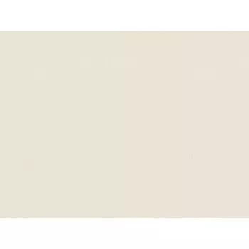 обои TREND COLOR виниловые на флизелиновой основе 10,05х1,06м, арт.TC72460-22