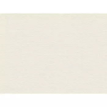 обои TREND COLOR виниловые на флизелиновой основе 10,05х1,06м, арт.TC72457-12