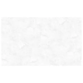 обои VICTORIA STENOVA виниловые на флизелиновой основе 10,05х1,06м, арт.989511