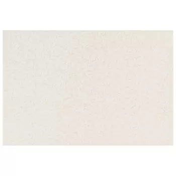 обои VILIA п/окраску виниловые на флизелиновой основе 120 г/м2 10х1,06м, арт.Ф6-10-1000-61