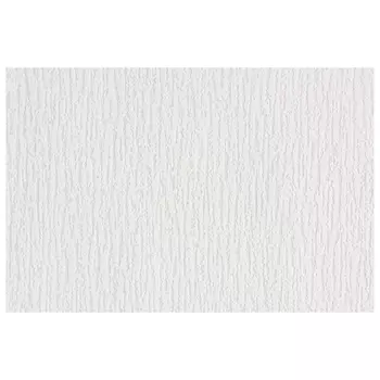 обои VILIA п/окраску виниловые на флизелиновой основе 120 г/м2 25х1,06м, арт.Ф5-12-1062-11