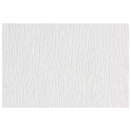 обои VILIA п/окраску виниловые на флизелиновой основе 120 г/м2 25х1,06м, арт.Ф5-12-1062-11