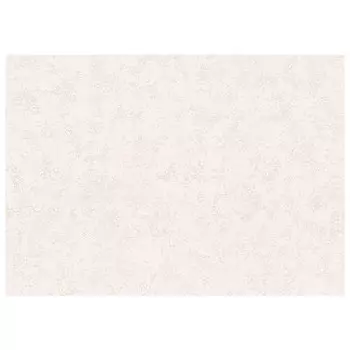 обои VILIA виниловые на флизелиновой основе 10,05х1,06м, арт.Ф16-10 1781-62